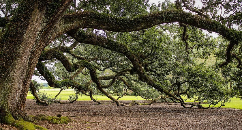 让生活更美好的手机号炸弹防护业务